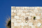 archeological site remains in Palestine